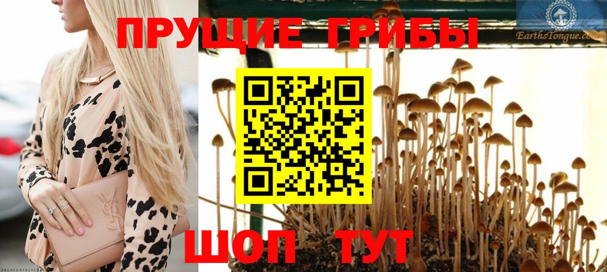 Галлюциногенные грибы Cubensis Усть-Илимск